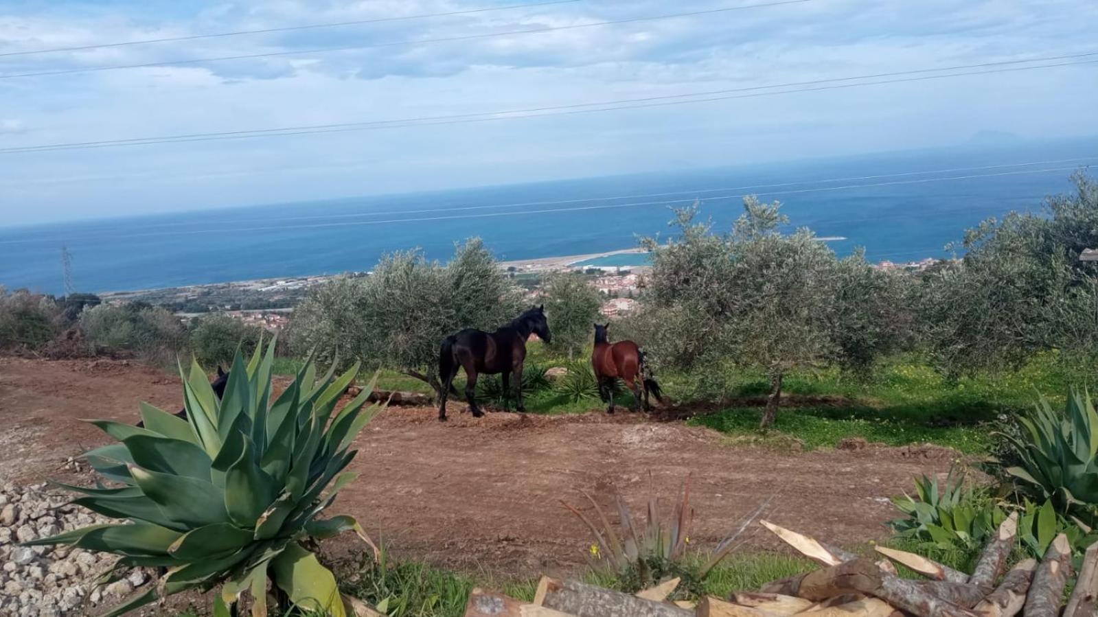 Agriturismo Serre Sant'Agata di Militello Luaran gambar
